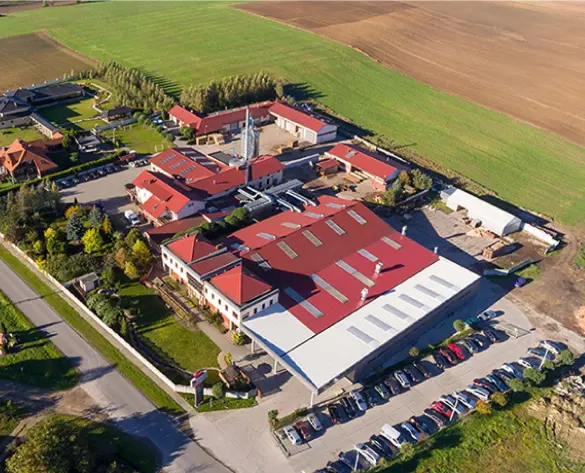 Automatyzacja produkcji i rozwój nowych marek