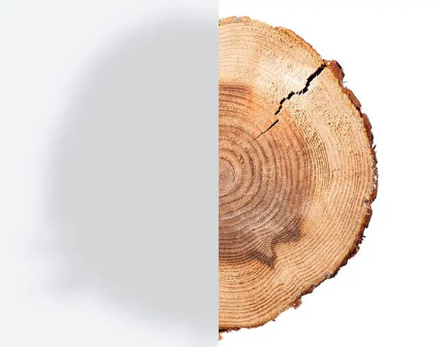Mleczne
