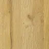 08 Dąb Rustykalny
